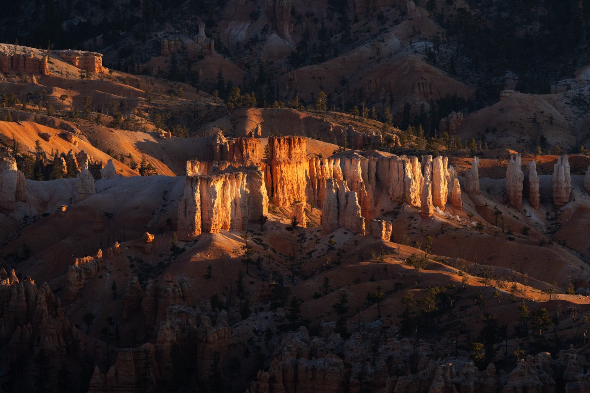 Golden sunlight illuminating canyon rock spires against deep shadows