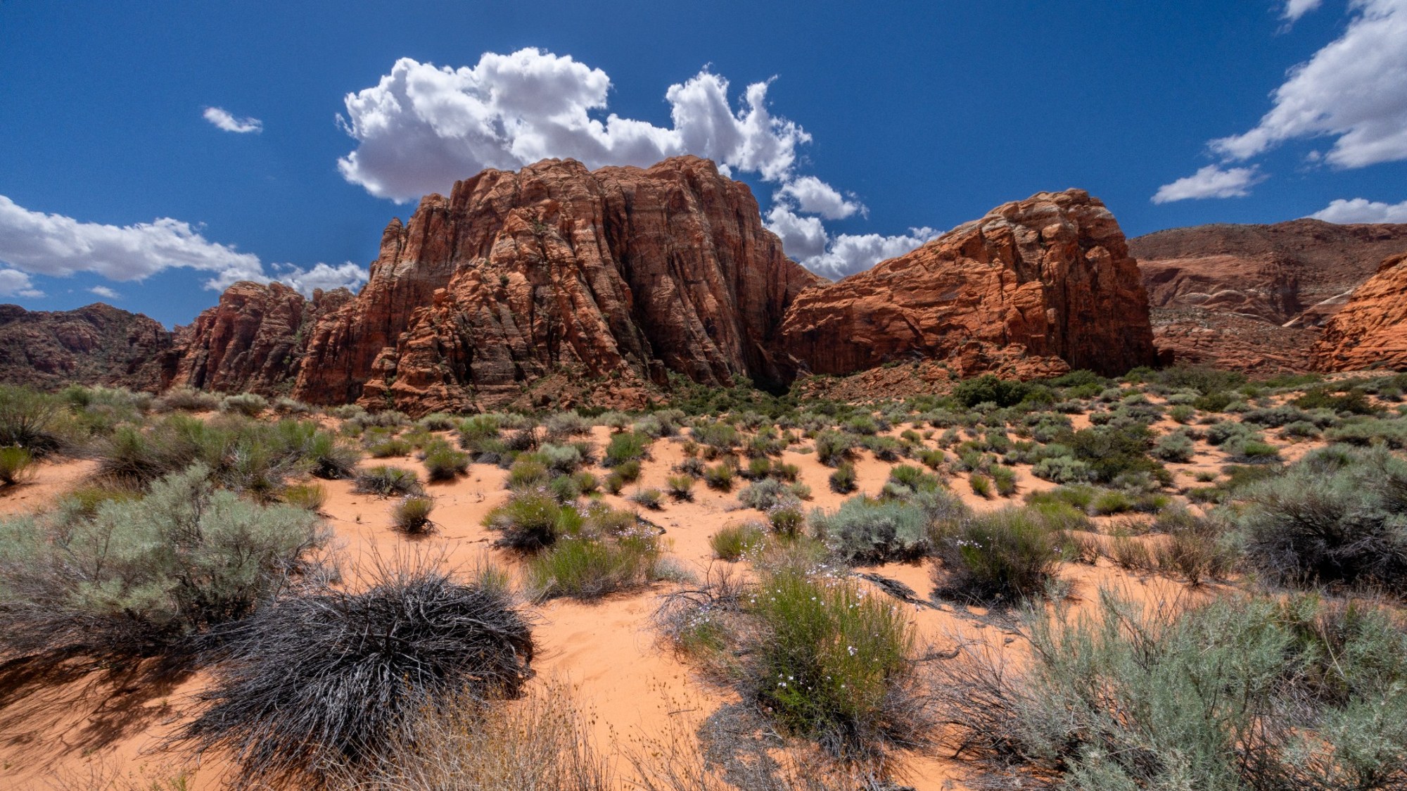 Desert trail leading toward red rock formations beneath blue sky