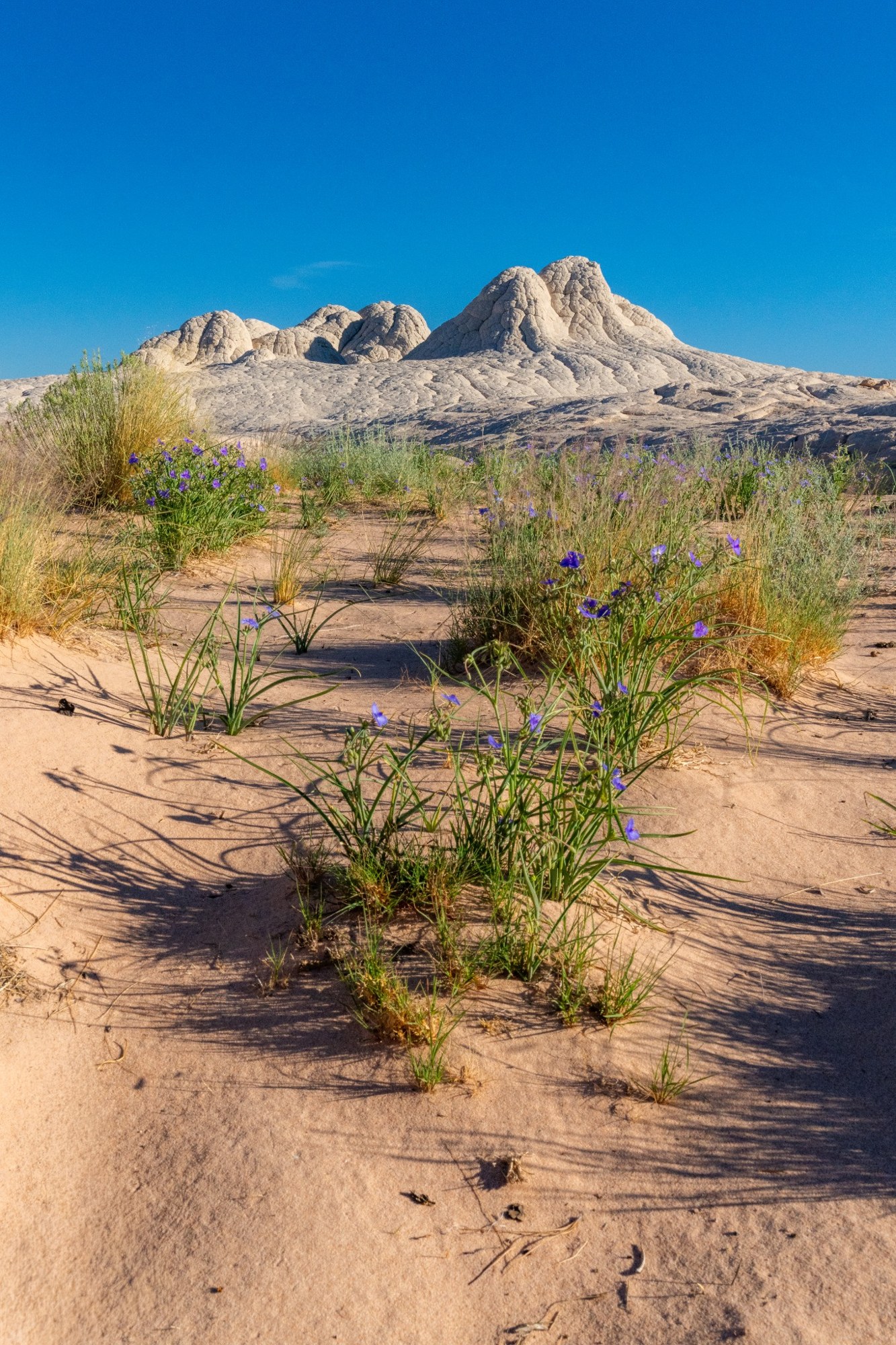 Sandy desert trail toward pale rock formations